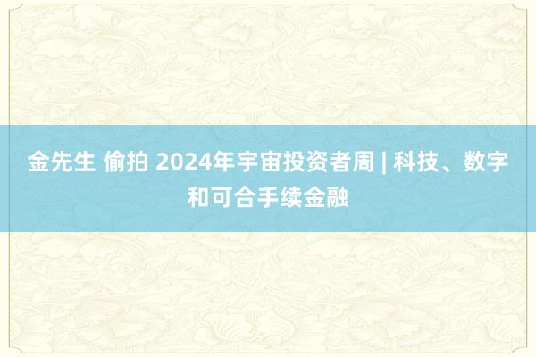 金先生 偷拍 2024年宇宙投资者周 | 科技、数字和可合手续金融