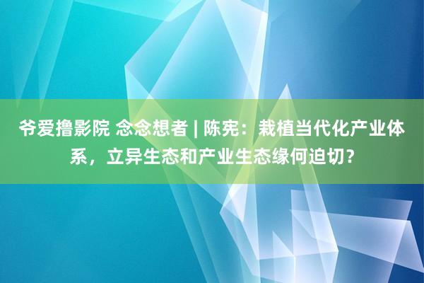 爷爱撸影院 念念想者 | 陈宪：栽植当代化产业体系，立异生态和产业生态缘何迫切？