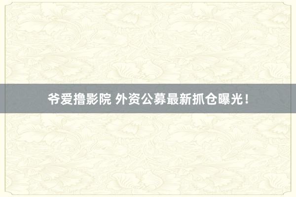 爷爱撸影院 外资公募最新抓仓曝光！