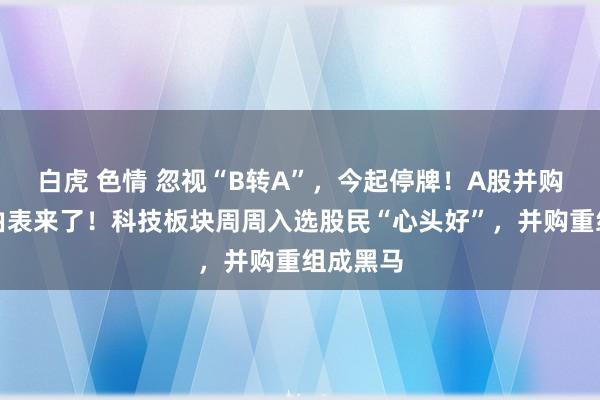 白虎 色情 忽视“B转A”，今起停牌！A股并购重组经由表来了！科技板块周周入选股民“心头好”，并购重组成黑马