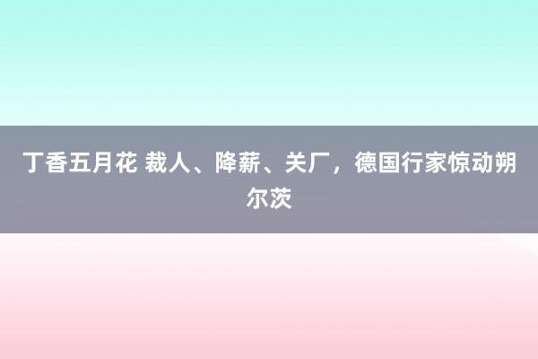 丁香五月花 裁人、降薪、关厂，德国行家惊动朔尔茨