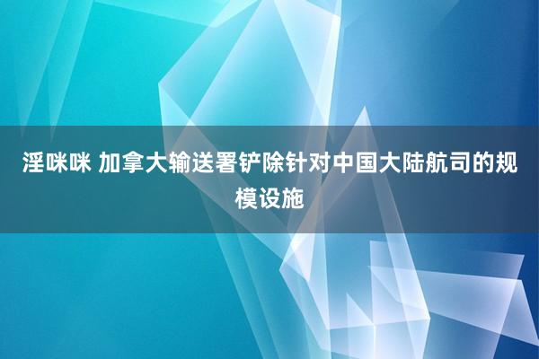 淫咪咪 加拿大输送署铲除针对中国大陆航司的规模设施