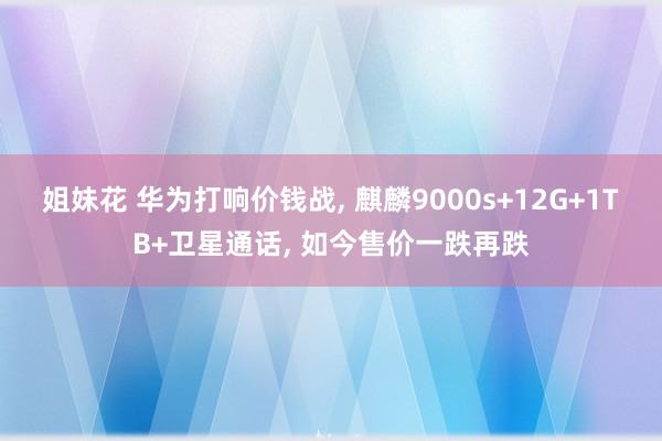 姐妹花 华为打响价钱战， 麒麟9000s+12G+1TB+卫星通话， 如今售价一跌再跌