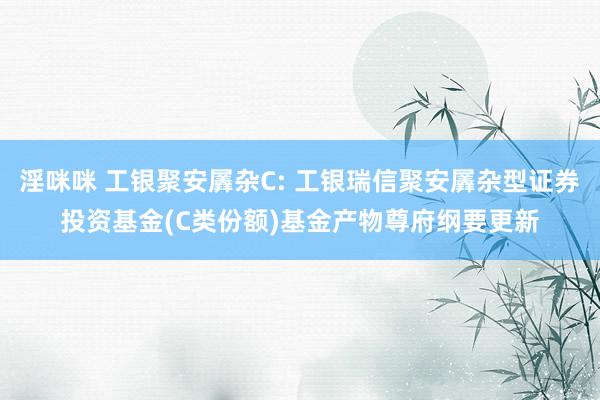 淫咪咪 工银聚安羼杂C: 工银瑞信聚安羼杂型证券投资基金(C类份额)基金产物尊府纲要更新