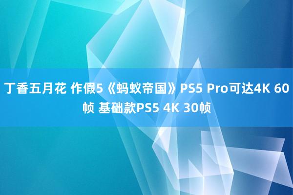 丁香五月花 作假5《蚂蚁帝国》PS5 Pro可达4K 60帧 基础款PS5 4K 30帧