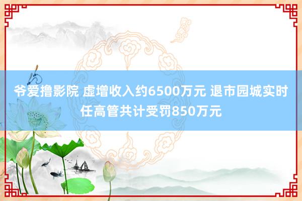 爷爱撸影院 虚增收入约6500万元 退市园城实时任高管共计受罚850万元