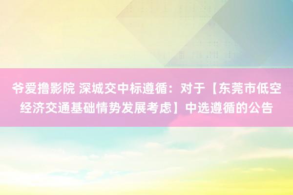 爷爱撸影院 深城交中标遵循：对于【东莞市低空经济交通基础情势发展考虑】中选遵循的公告