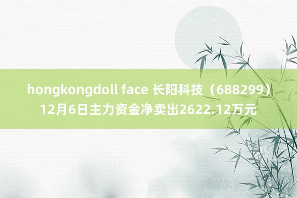 hongkongdoll face 长阳科技（688299）12月6日主力资金净卖出2622.12万元