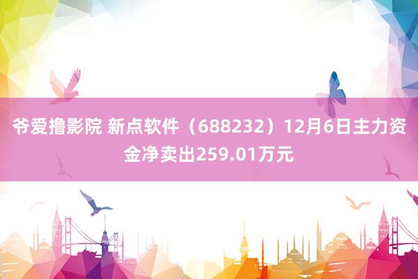 爷爱撸影院 新点软件（688232）12月6日主力资金净卖出259.01万元