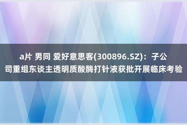 a片 男同 爱好意思客(300896.SZ)：子公司重组东谈主透明质酸酶打针液获批开展临床考验