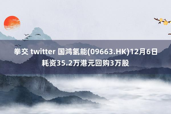 拳交 twitter 国鸿氢能(09663.HK)12月6日耗资35.2万港元回购3万股