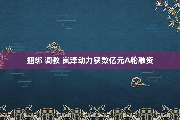 捆绑 调教 岚泽动力获数亿元A轮融资