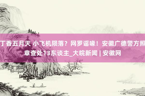 丁香五月天 小飞机陨落？网罗谣喙！安徽广德警方照章查处13东谈主_大皖新闻 | 安徽网