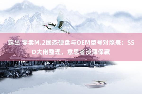 露出 零卖M.2固态硬盘与OEM型号对照表：SSD大佬整理，意思者淡薄保藏