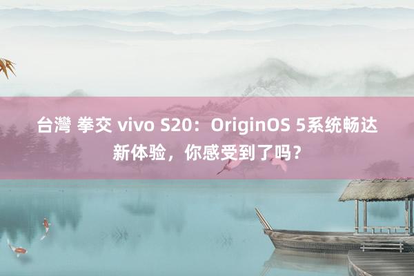 台灣 拳交 vivo S20：OriginOS 5系统畅达新体验，你感受到了吗？