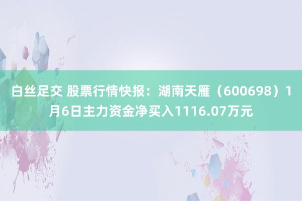 白丝足交 股票行情快报：湖南天雁（600698）1月6日主力资金净买入1116.07万元