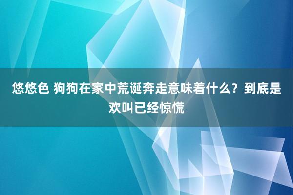 悠悠色 狗狗在家中荒诞奔走意味着什么？到底是欢叫已经惊慌