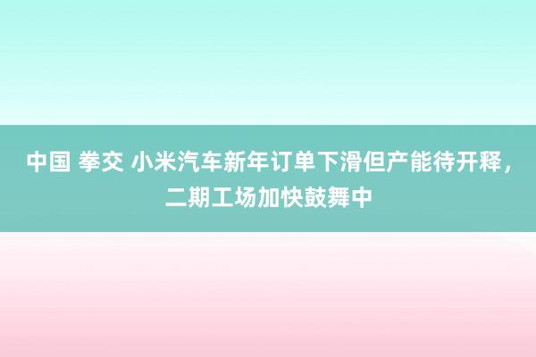 中国 拳交 小米汽车新年订单下滑但产能待开释，二期工场加快鼓舞中