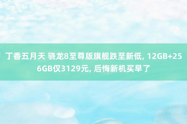 丁香五月天 骁龙8至尊版旗舰跌至新低， 12GB+256GB仅3129元， 后悔新机买早了