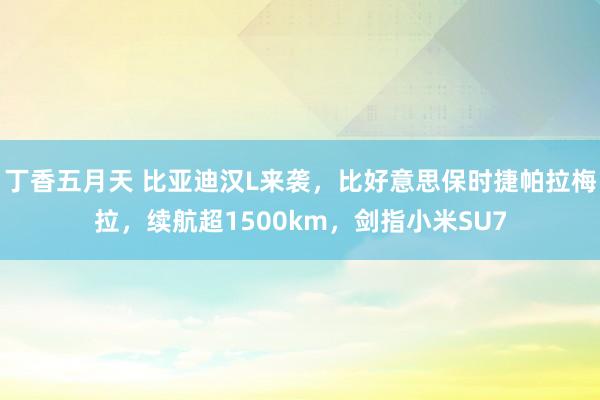 丁香五月天 比亚迪汉L来袭，比好意思保时捷帕拉梅拉，续航超1500km，剑指小米SU7