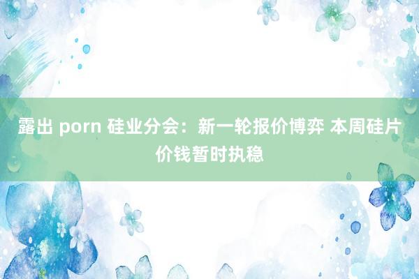 露出 porn 硅业分会：新一轮报价博弈 本周硅片价钱暂时执稳